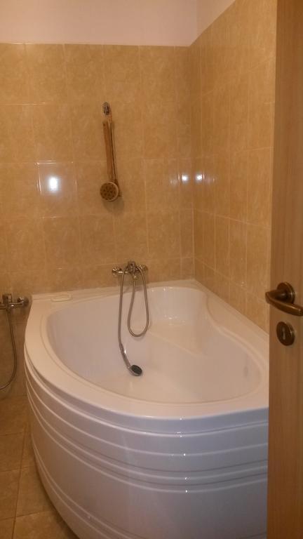 Otopeni Therme Airport Apartment Room photo